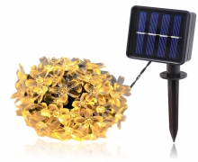 Solar energy-Flowers