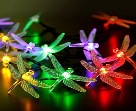 Solar energy-Dragonfly